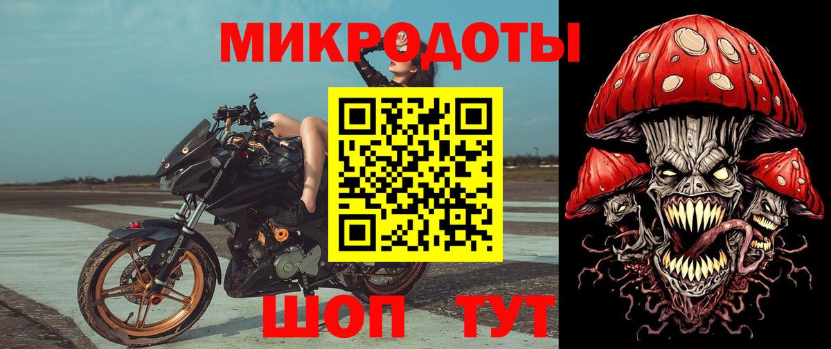 Галлюциногенные грибы Psilocybe Аргун